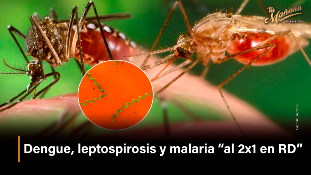 MSP REPORTA CASO LEPTOPIROSIS Y MALARIA