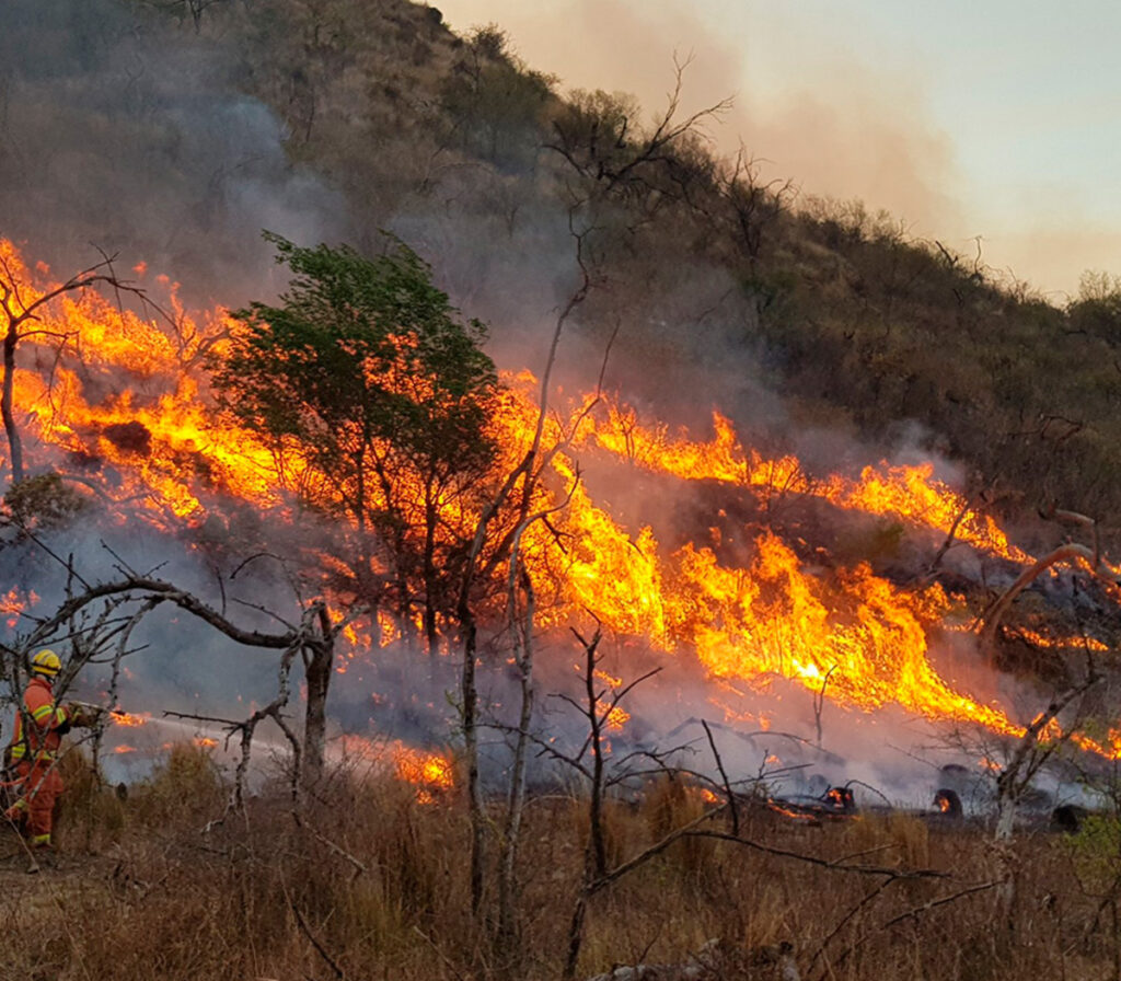 INCENDIOS Y EXPANSIO AGRICOLA REDUEN BOSQUE PRIMARIO EN RD Y HAITI