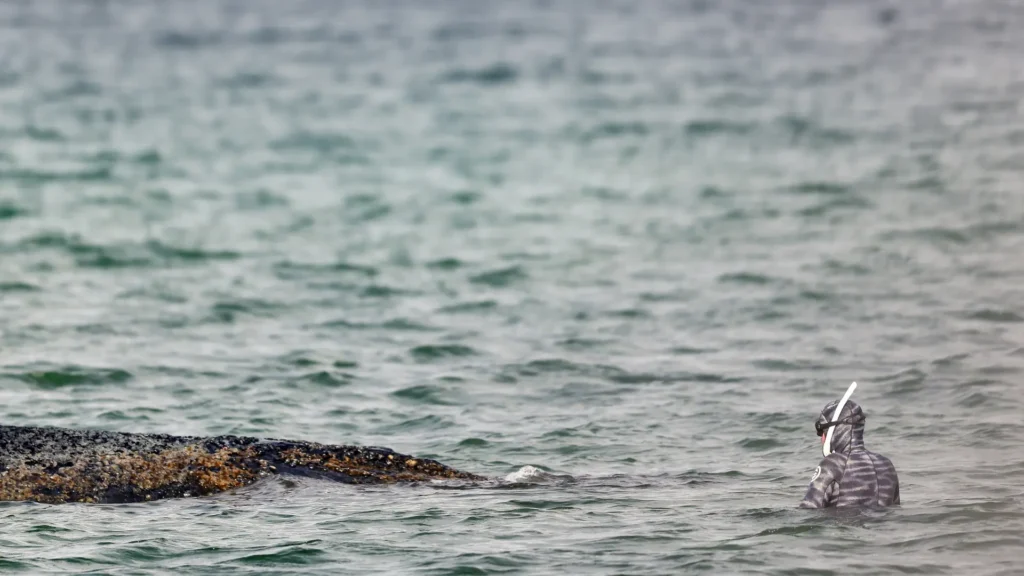 69c66f2075bc69-08277556