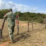 Medio Ambiente anuncia tolerancia cero para las ocupaciones ilegales en Las Dunas
