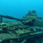 En 1994, Estados Unidos hundió 100 tanques en el Caribe. No sabía que iba a crear un auténtico vergel en el Golfo de México