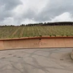 Roban 30.000 botellas de vino por valor de cinco millones de euros en una bodega en Italia: es el mayor robo de la historia del país